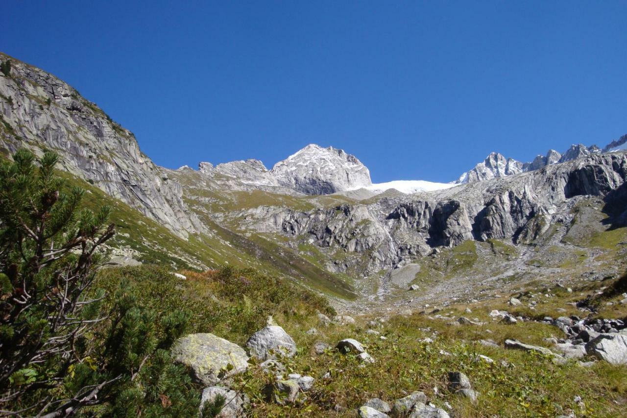 Gaestehaus Elisabeth Bed & Breakfast Mayrhofen Bagian luar foto